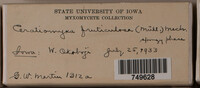 Image Associated With the Occurence